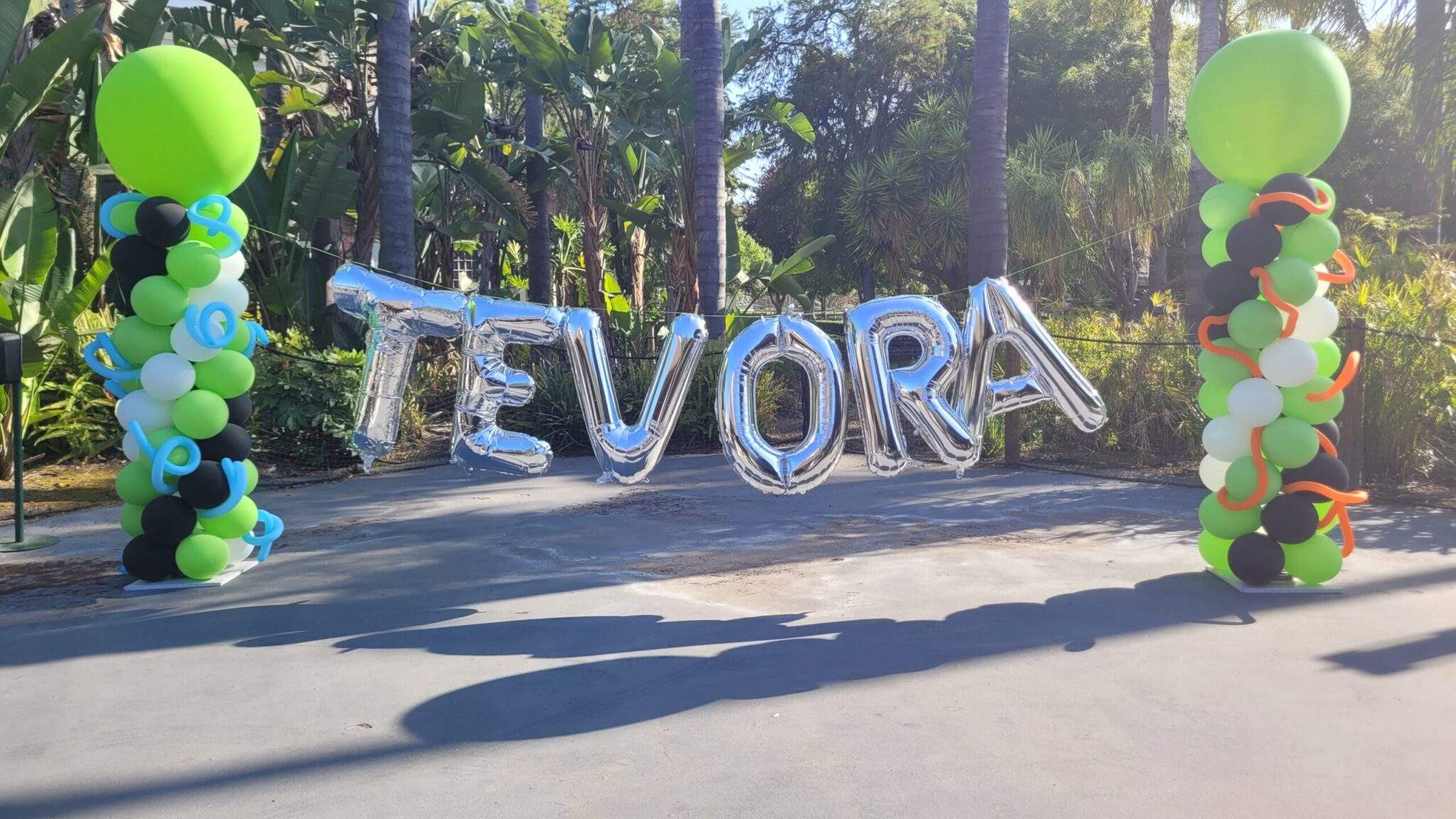 Purpose, Vision & Mission: Tevora Business Solutions